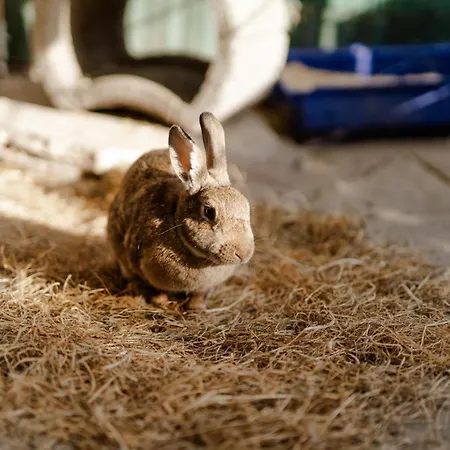 Pferdewiese Staberdorf